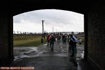 IMG_ (11467)